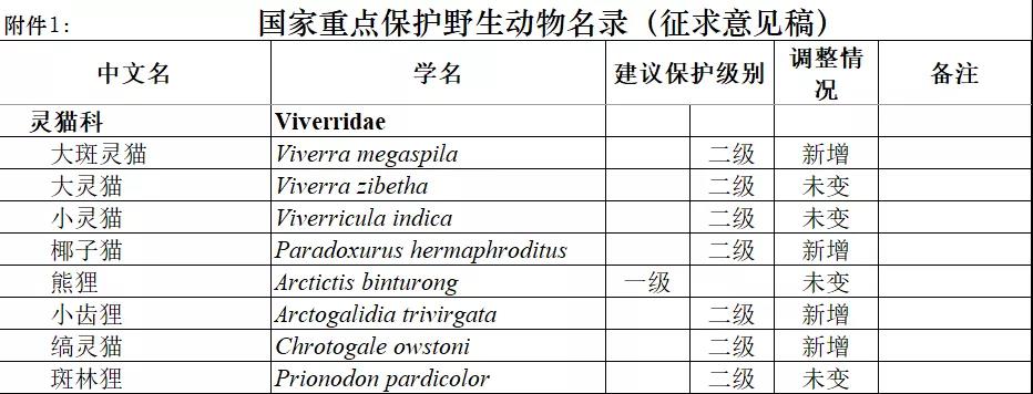 菊 街 共通 点 猫